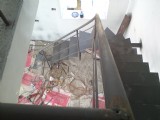 picture_   