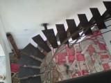 picture_    